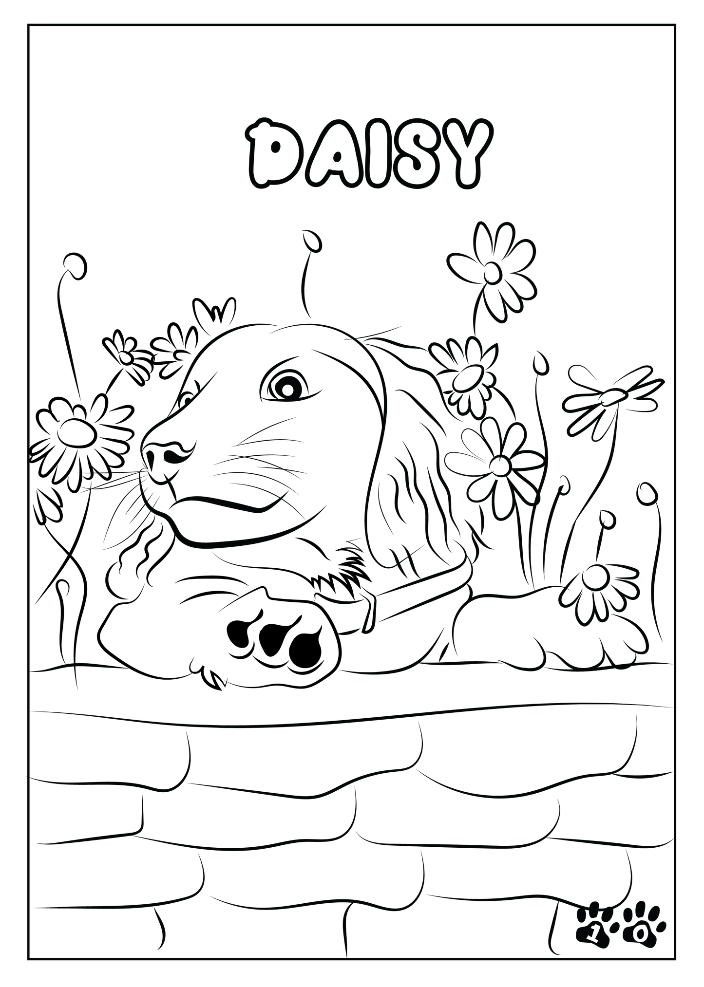 Custom Pet Coloring Pages