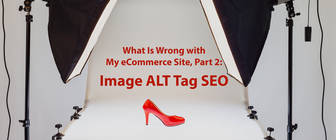 What Is Wrong with My eCommerce Site, Part 2: Image ALT Tag SEO