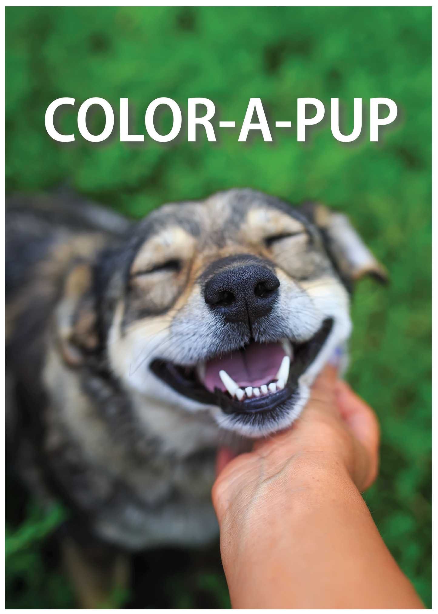 Color-A-Pup